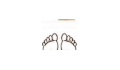 Reflexology